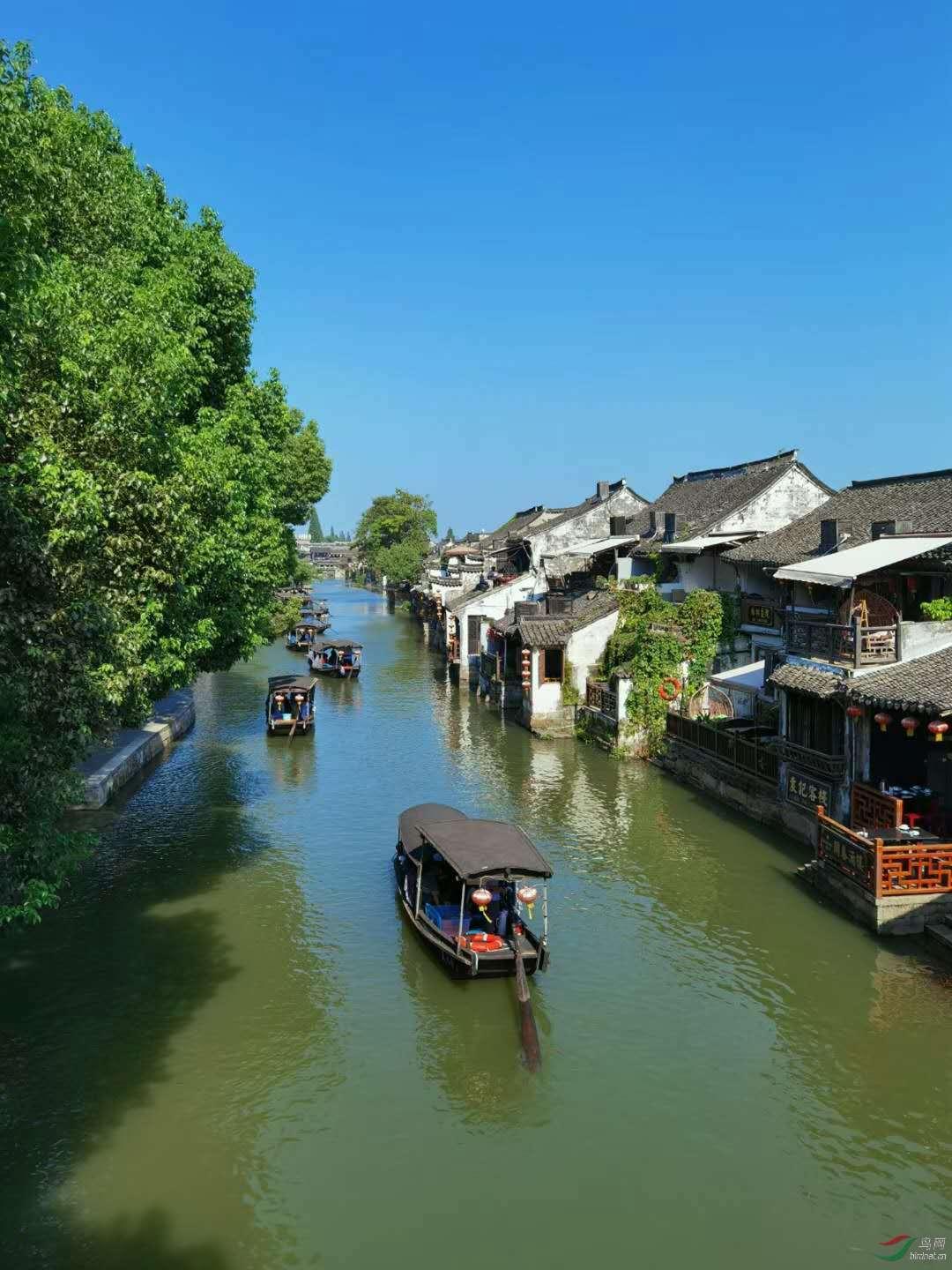 你觉得香港电影是不是已经没落了呢?为什么呢?-知识星球,专注分享和探讨你觉得香港电影是不是已经没落了呢?为什么呢?